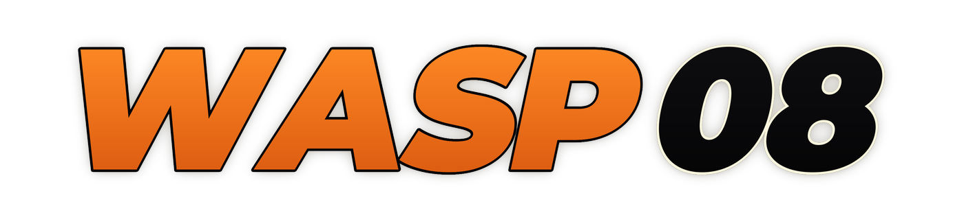 wasp08